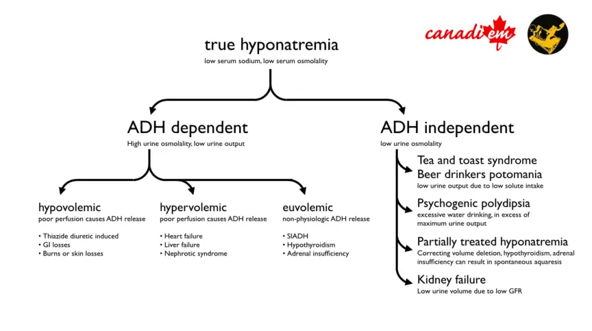 Hyponatraemia &#8211; what is it, what causes it, how is it recognized and treated?