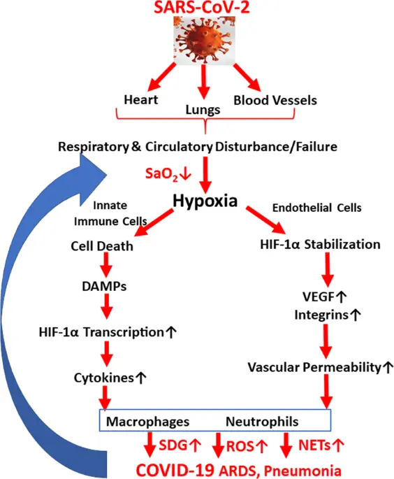 Hypoxia can develop with COVID-19. That&#8217;s how you&#8217;ll recognize her