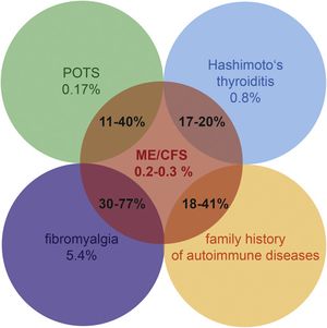 I have Hashimoto&#8217;s &#8211; what tests should I do for other comorbidities?