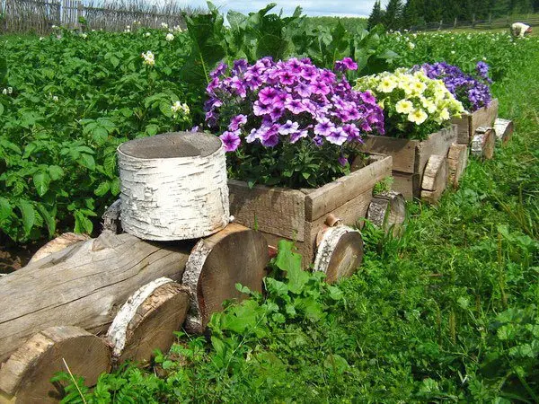 Ideas for a flower bed: we make an original flower garden with our own hands