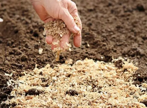 If you add sawdust to the soil, what will it give?