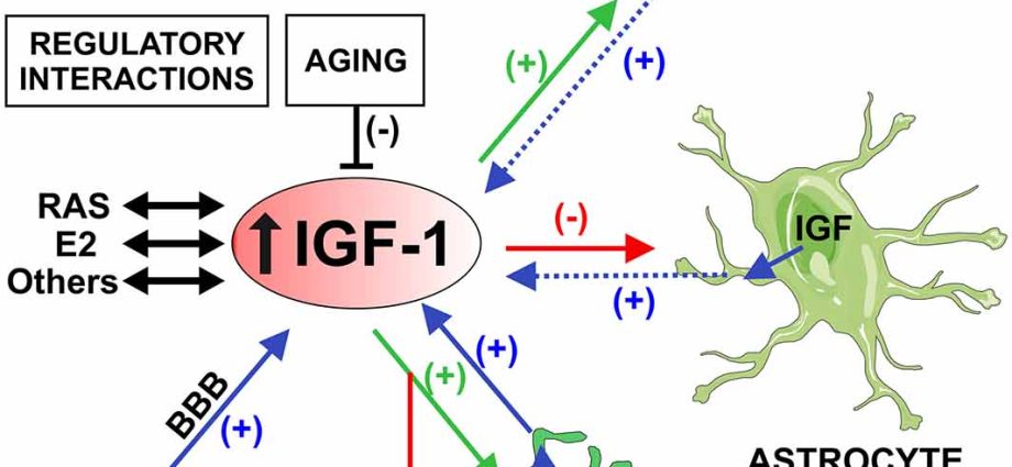 IGF-1 may be useful in the treatment of Alzheimer&#8217;s disease