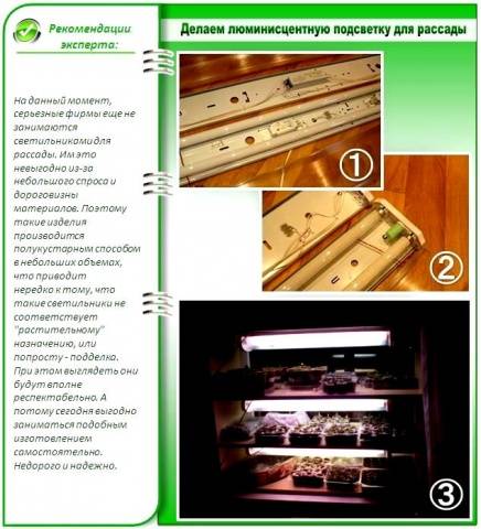 Illumination of seedlings with fluorescent lamps