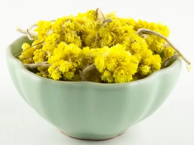 Immortelle flower: photos and names, benefits and harms, application, reviews