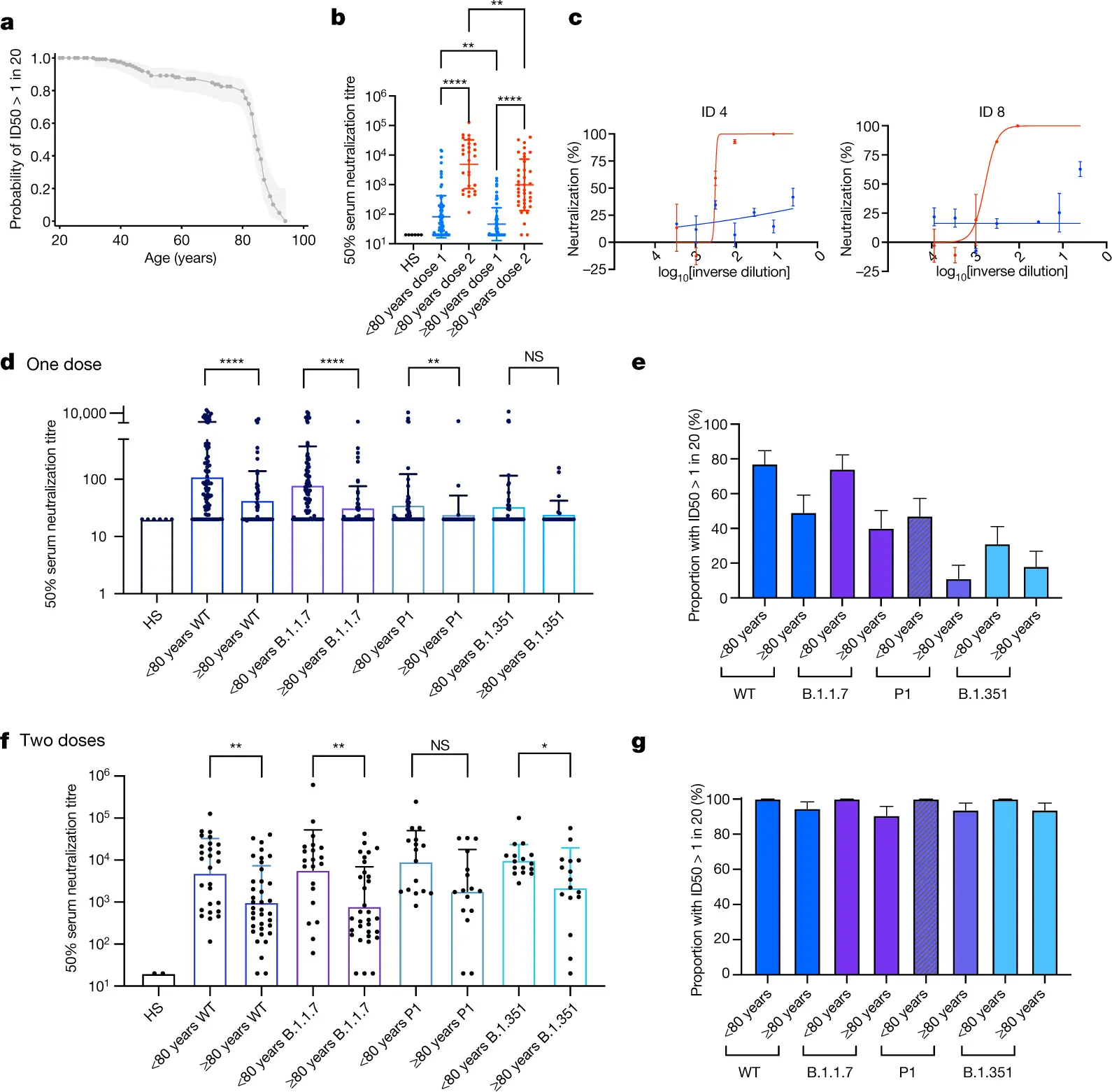 Immunity does not have to decline with age