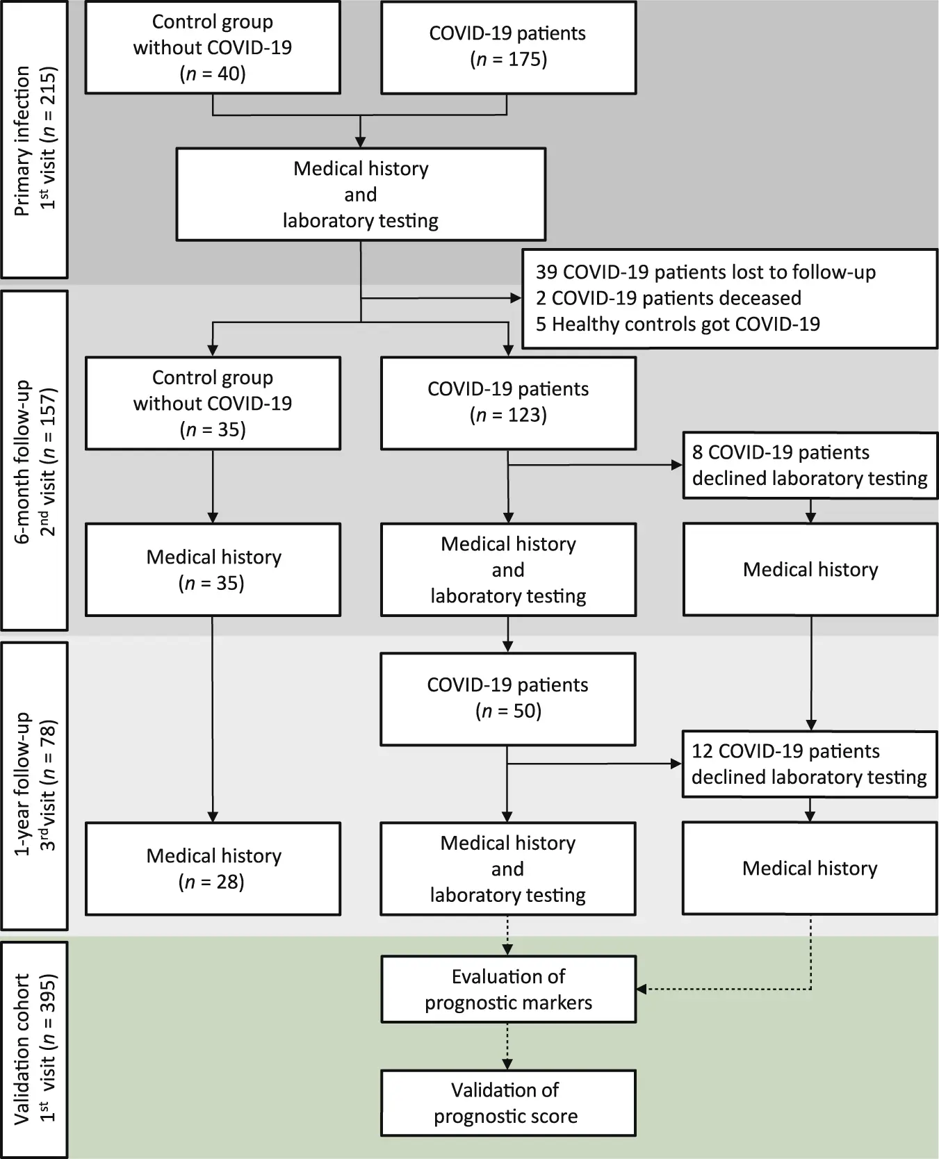 Immunoglobulins &#8211; a study. How to interpret the results?