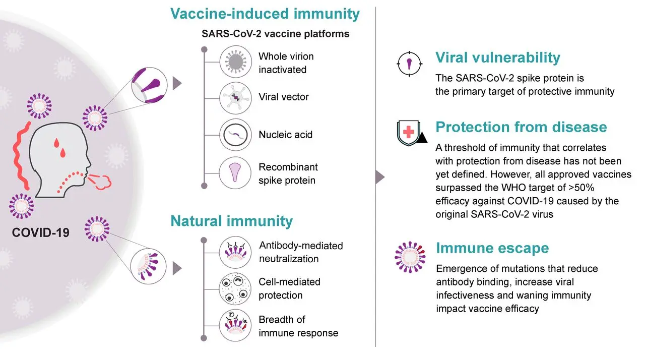 Immunologist: A sisterly, hidden line of Omicron has appeared. We need more vaccines