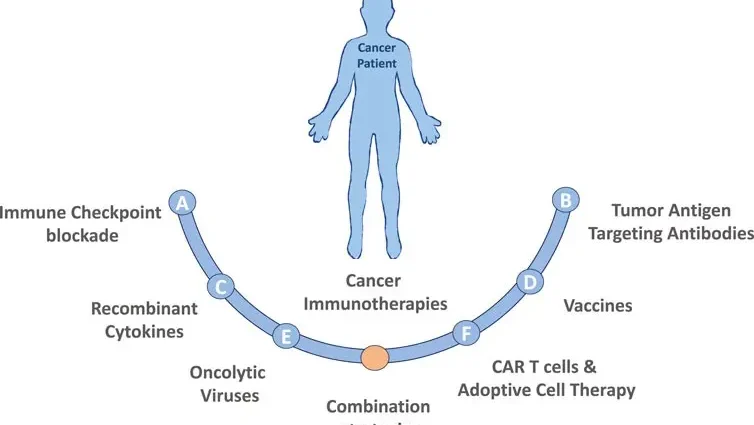 Immunotherapy is the most promising in the treatment of cancer