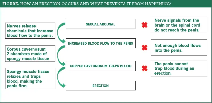 Impotence is treatable