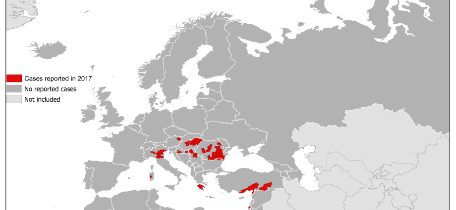 In Romania, two people died of West Nile fever