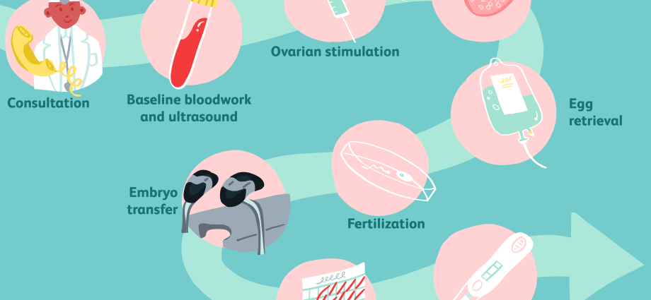 In vitro &#8211; indications, methods. How does IVF work? [WE EXPLAIN]