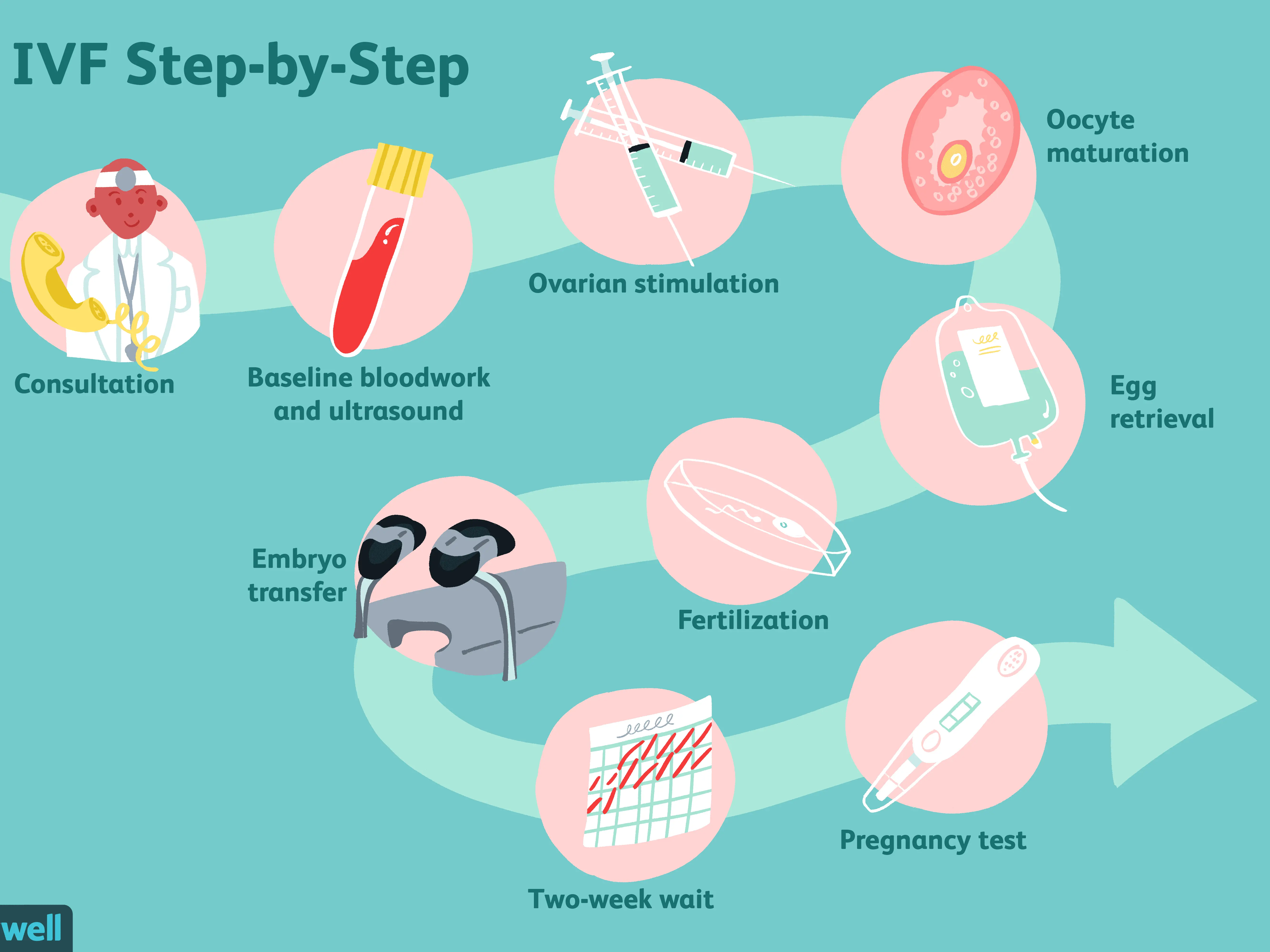 In vitro &#8211; indications, methods. How does IVF work? [WE EXPLAIN]