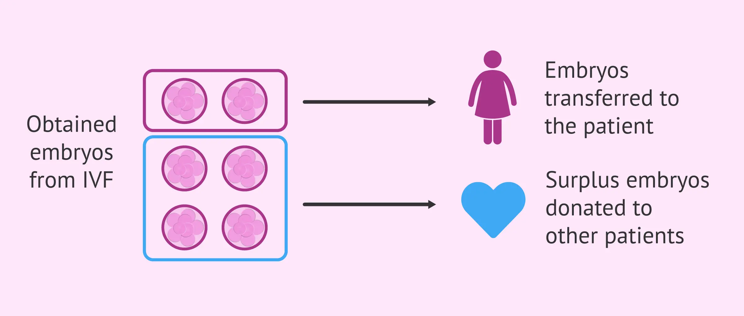 In vitro &#8211; is it for everyone? Prenatal adoption and the problem of the donor and the problem of the recipient