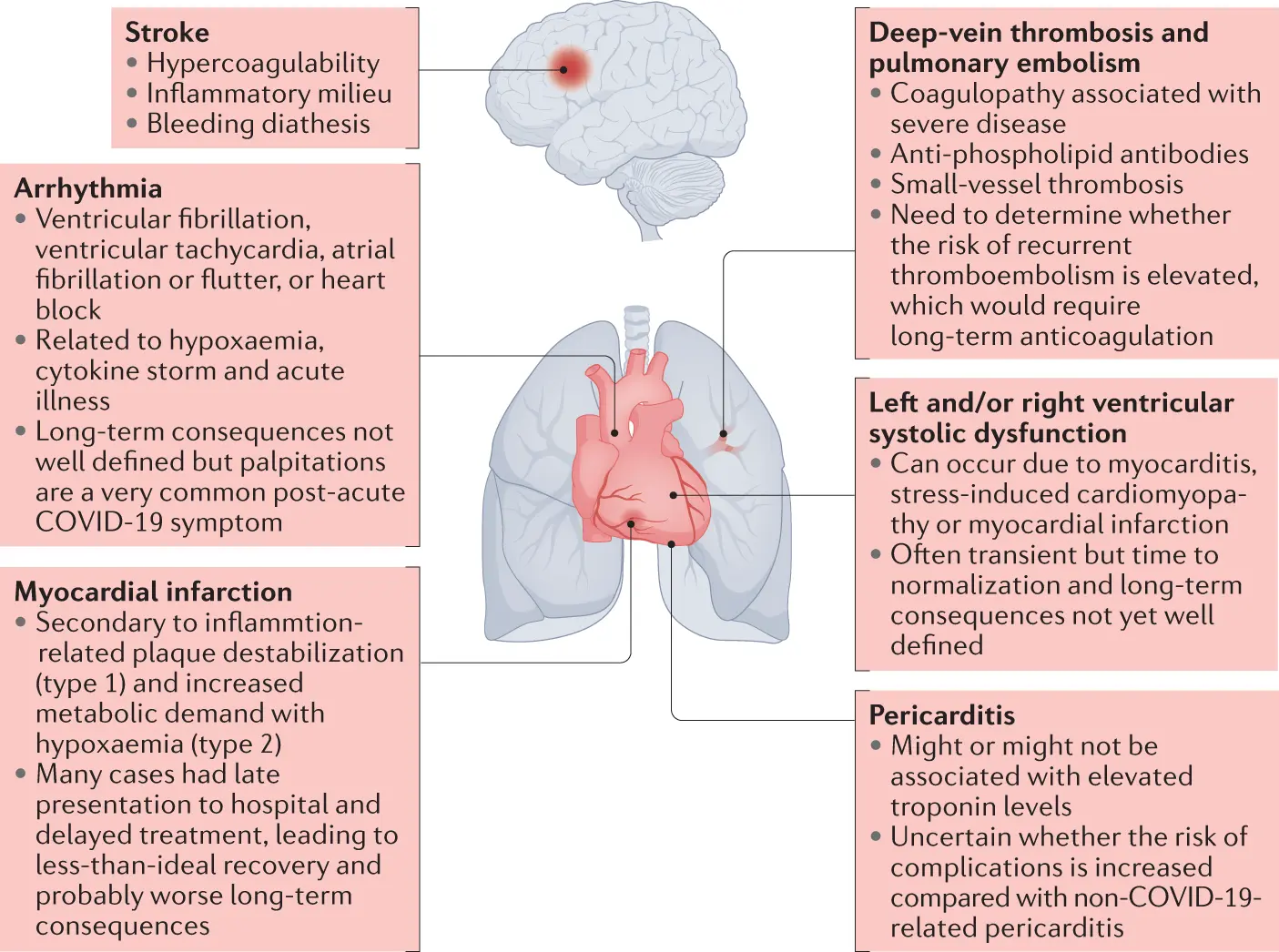 In young people, even mild COVID-19 can lead to long-term heart problems