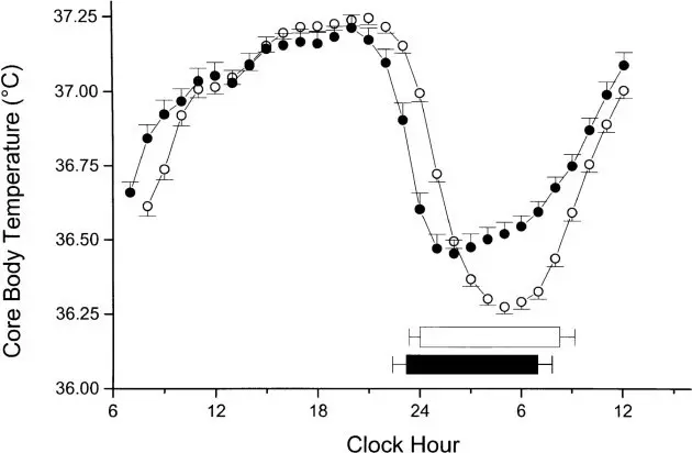 Increase in libido in the rhythm of the biological clock