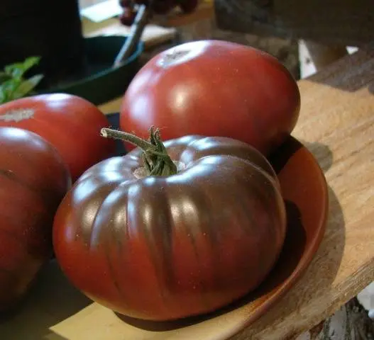 Indeterminate tomatoes - the best varieties