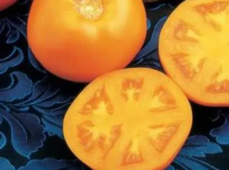 Indeterminate tomatoes - the best varieties