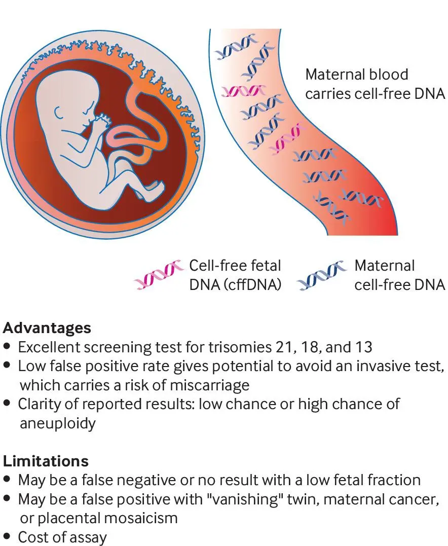 Indications for prenatal tests. Price and refund