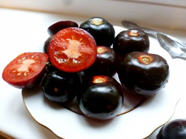 Indigo rose tomato: characteristics and description of the variety