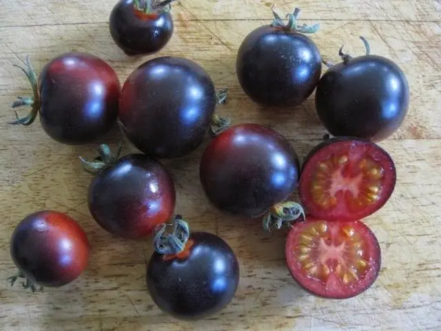 Indigo rose tomato: characteristics and description of the variety