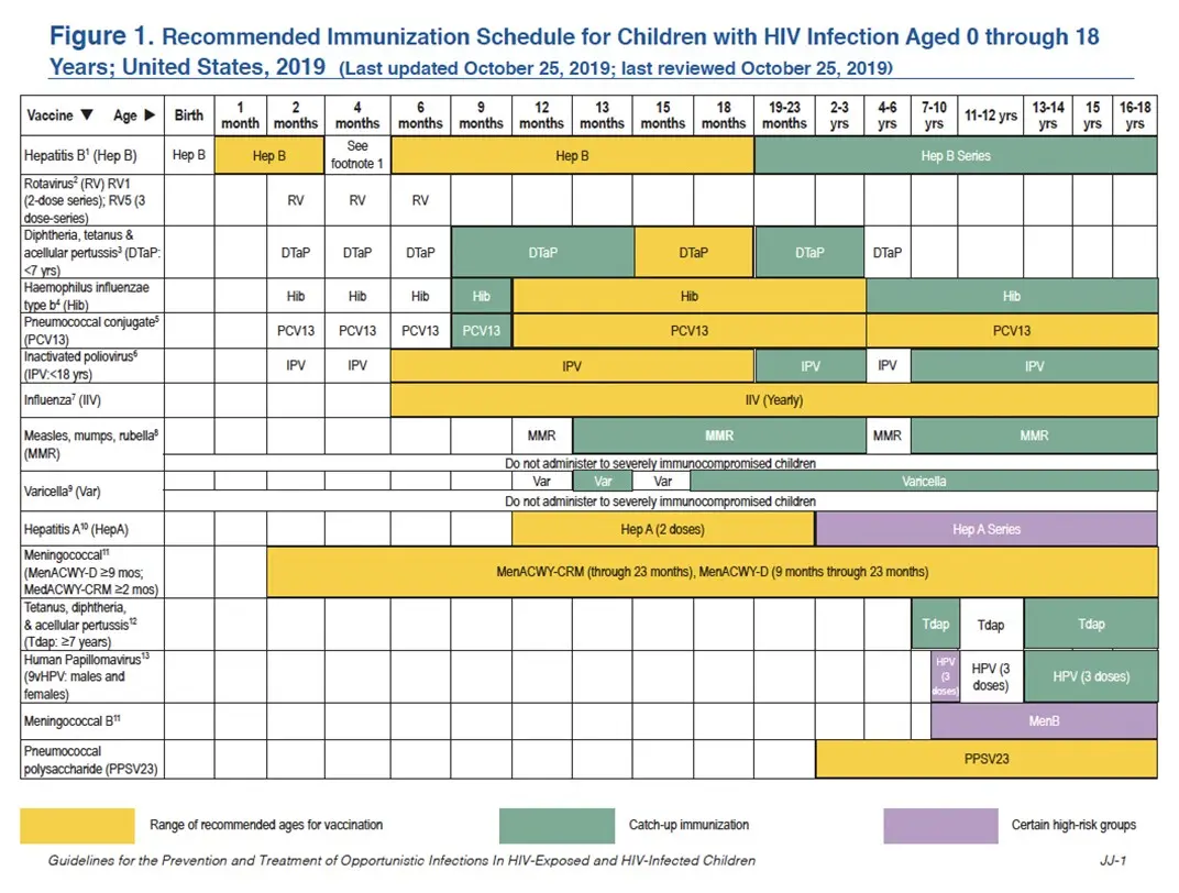 Individual vaccination calendar for a child &#8211; who should use it?