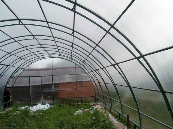 Industrial greenhouses: what are and which one to choose