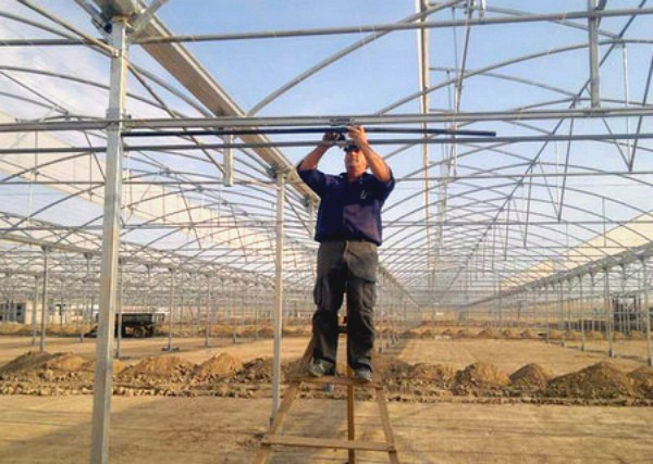 Industrial greenhouses: what are and which one to choose