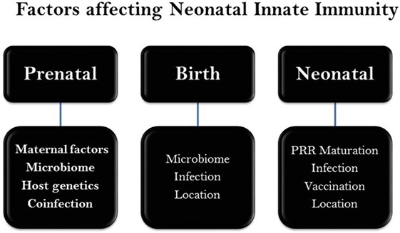 Infections in the neonatal period &#8211; types