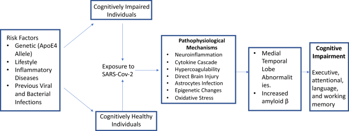 Infections related to cognitive decline