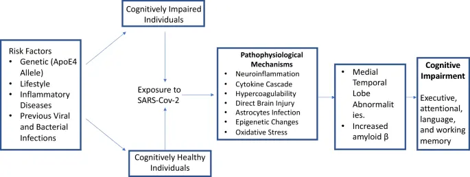 Infections related to cognitive decline