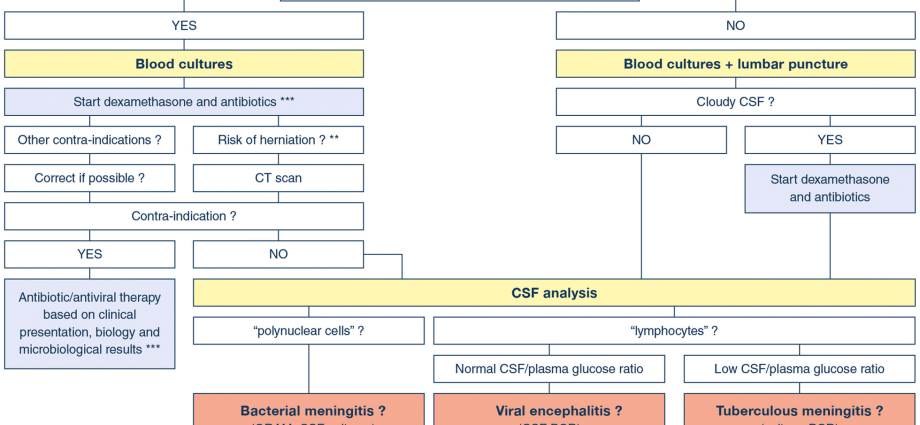 Infectious meningitis and encephalitis &#8211; symptoms, treatment