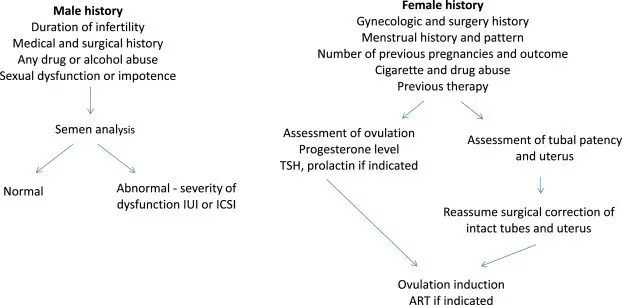 Infertility treatment methods. Who is affected by infertility and how is it diagnosed?