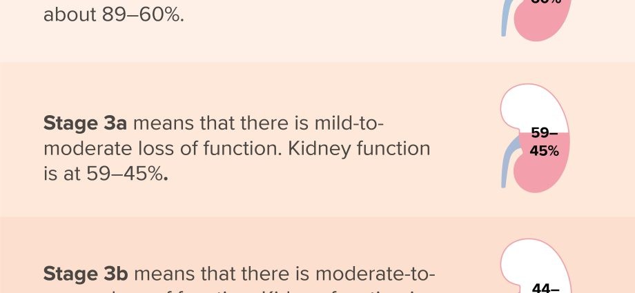 Inflammation of the kidneys &#8211; symptoms, treatment