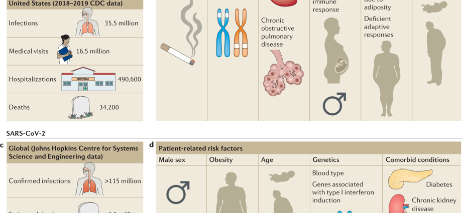 Influenza virus &#8211; types, routes of infection, risk groups, diagnostics