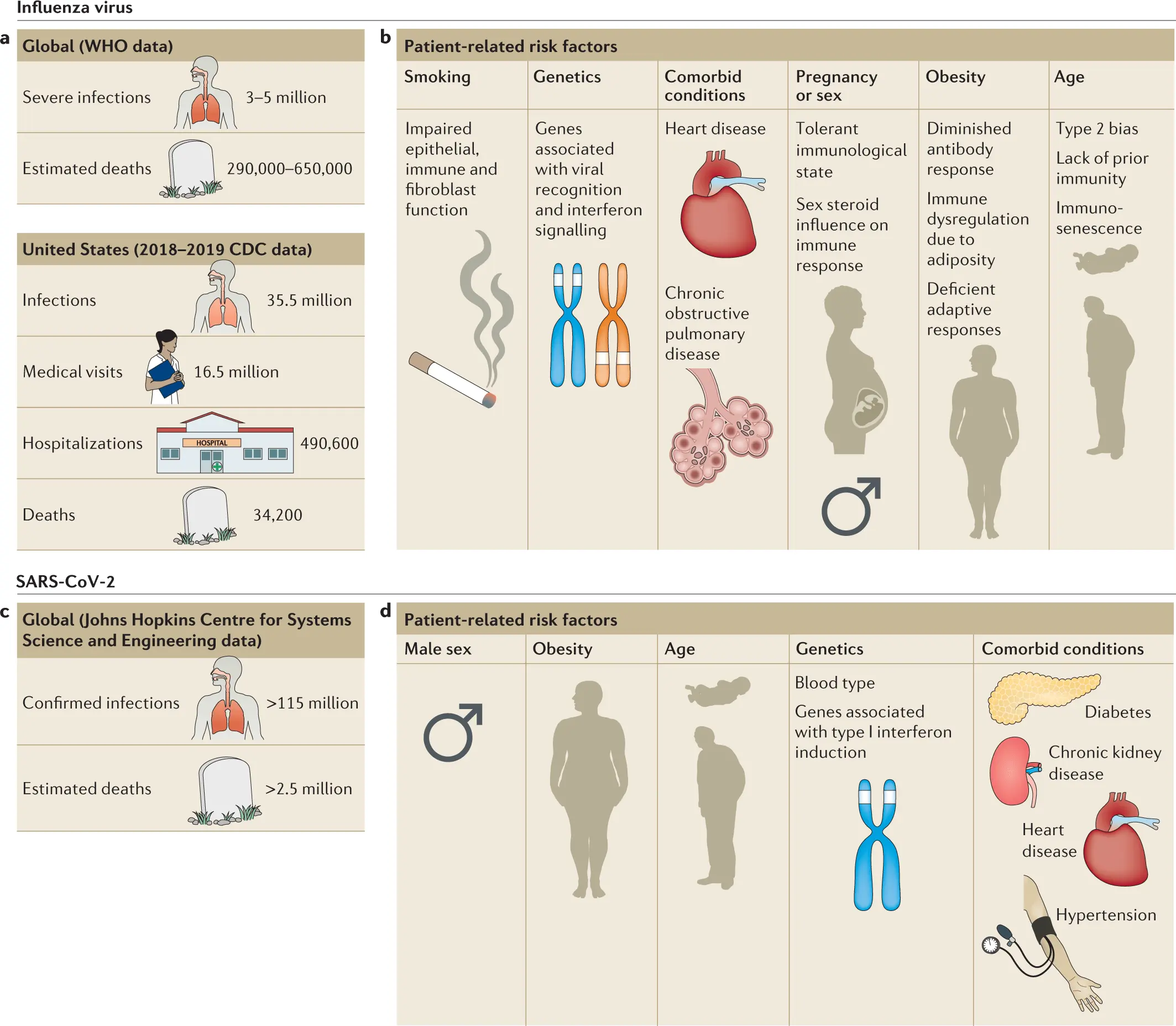 Influenza virus &#8211; types, routes of infection, risk groups, diagnostics