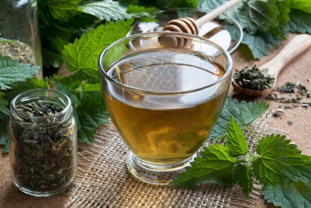 Infusion and decoction of nettle for bleeding: how to brew, how to drink, reviews