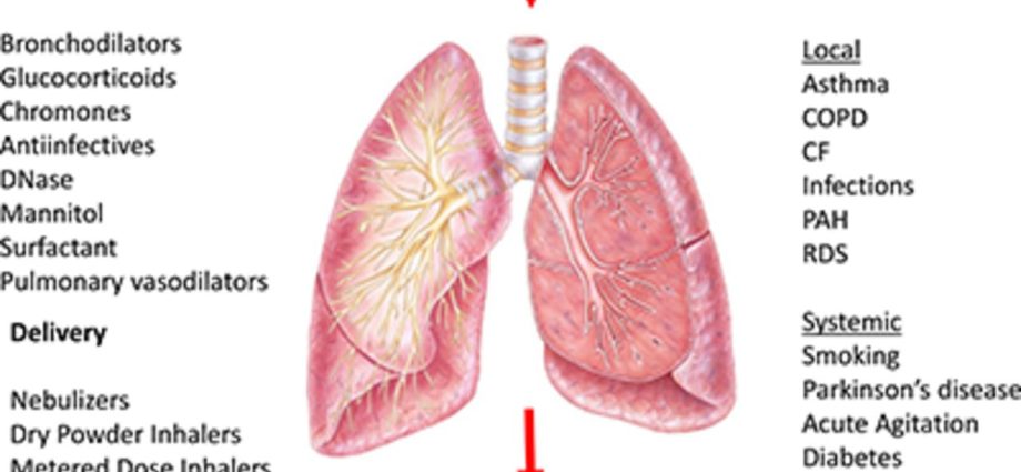 Inhalers for children &#8211; action, opinions, ranking