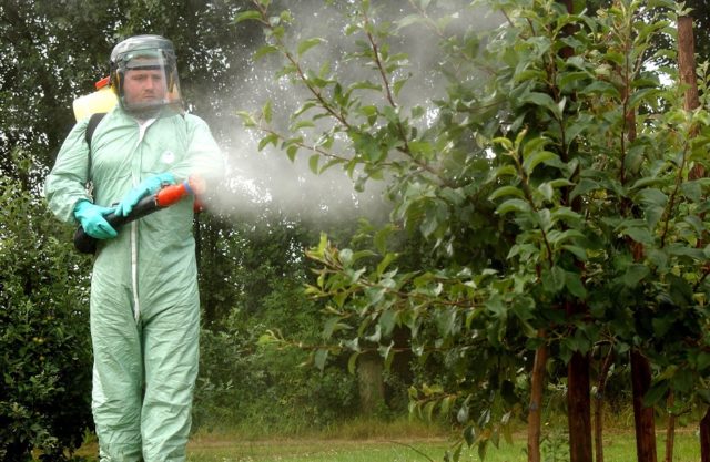 Insecticide Lannat: instructions, reviews, consumption rates