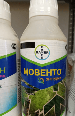 Insecticide Movento Energy: instructions for use, reviews