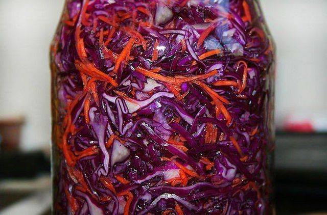 Instant Pickled Red Cabbage