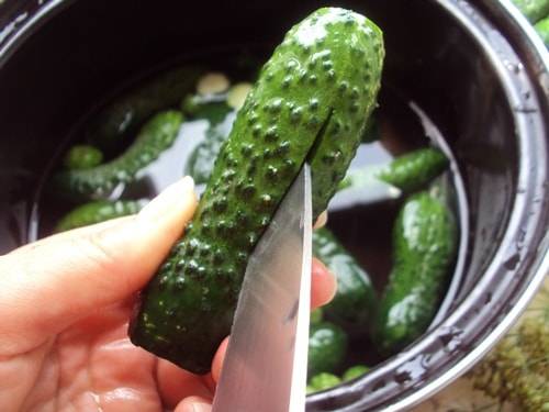 Instant Salted Cucumbers