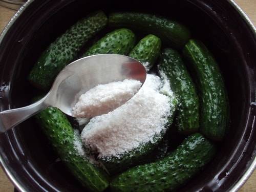 Instant Salted Cucumbers