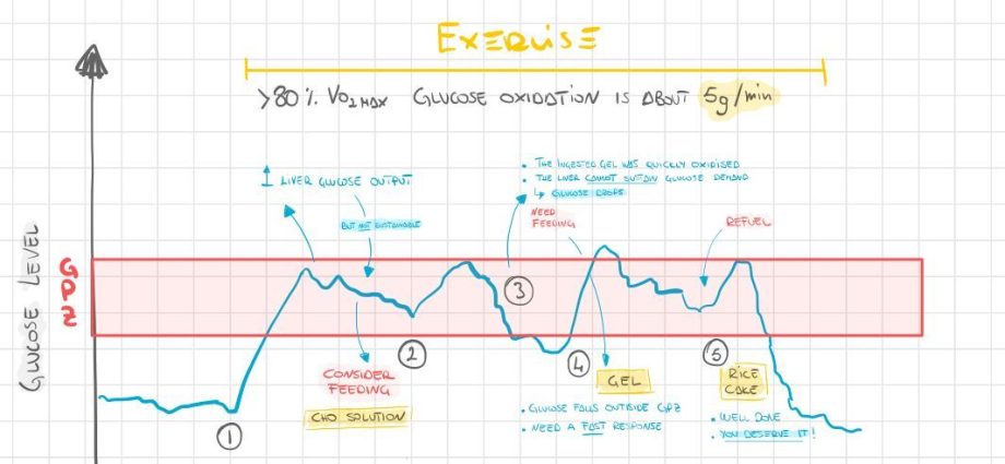 Insulin curve &#8211; indications, course, preparation for the test