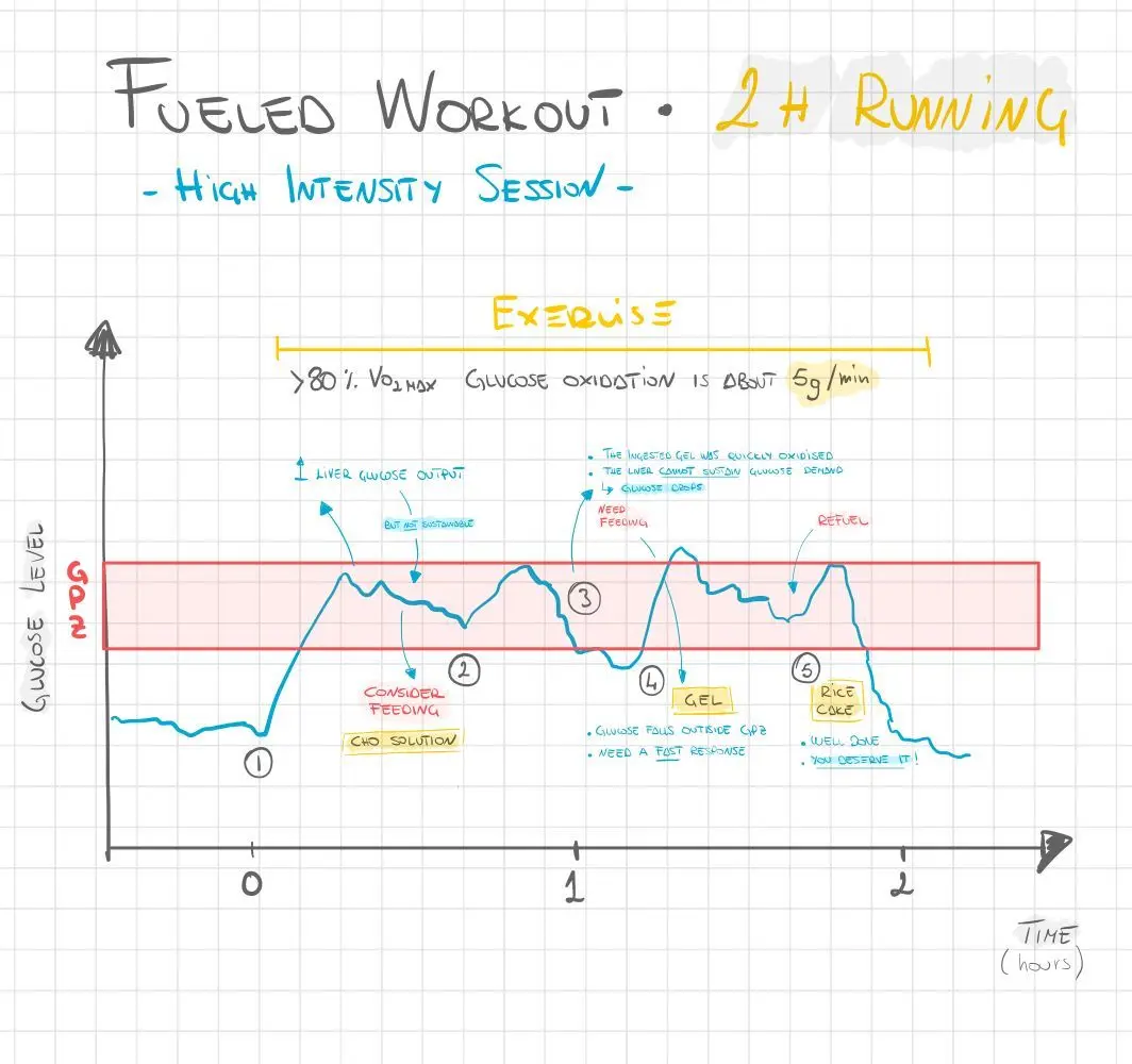 Insulin curve &#8211; indications, course, preparation for the test