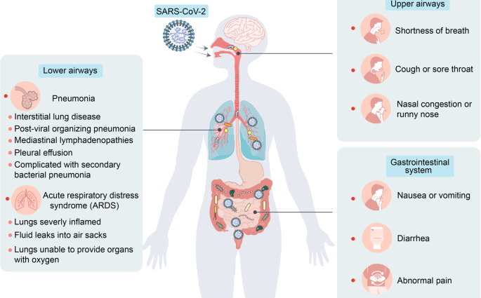 Intestinal complications and COVID-19. The symptoms of stomach flu may appear before the other symptoms