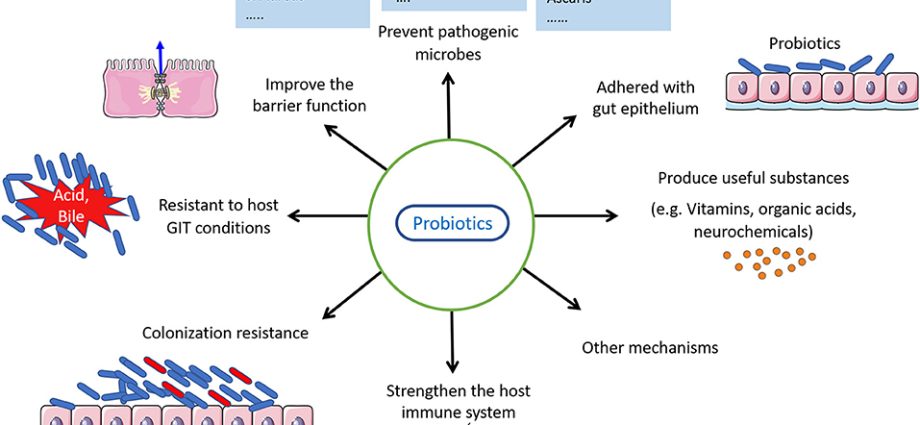 Intestinal diseases, depression and immunodeficiency. Effect of probiotics on well-being