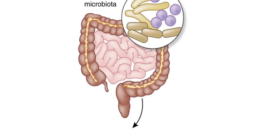 Intestinal microflora &#8211; signals that it is disturbed