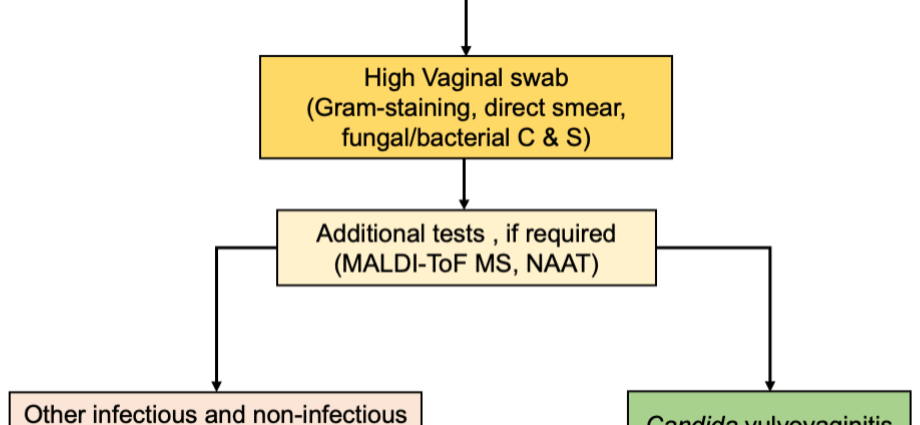 Intimate and fungal and bacterial infections. How to deal with recurring intimate infections? [WE EXPLAIN]