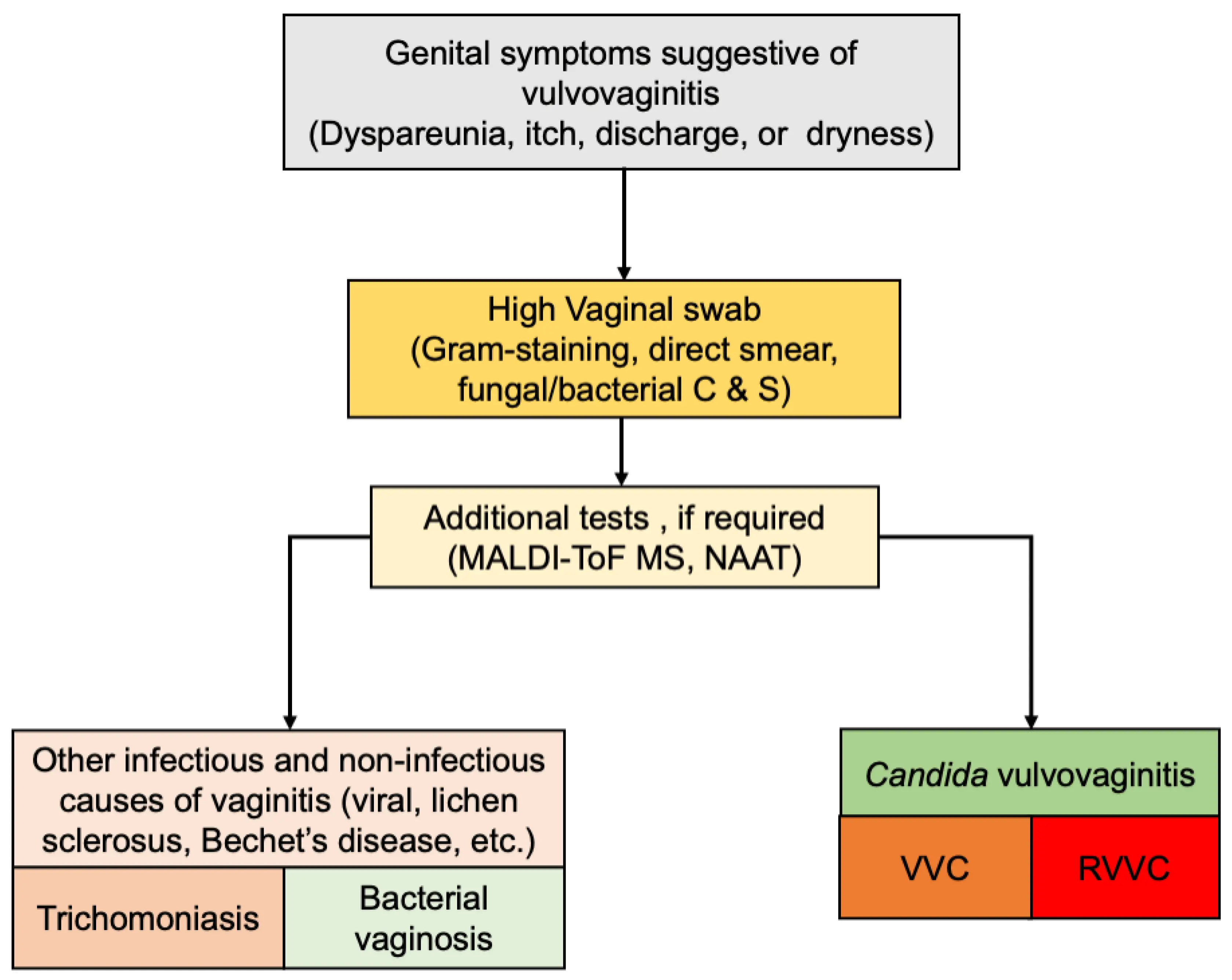 Intimate and fungal and bacterial infections. How to deal with recurring intimate infections? [WE EXPLAIN]