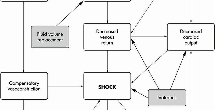 Invasive meningococcal disease &#8211; causes and treatment of MS